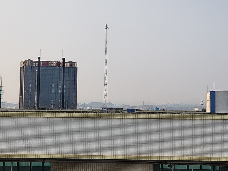 獨(dú)立避雷針1